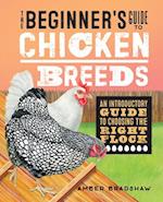 The Beginner's Guide to Chicken Breeds