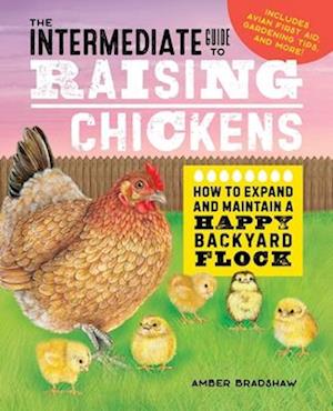 The Intermediate Guide to Raising Chickens