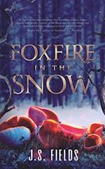 Foxfire in the Snow 