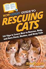 HowExpert Guide to Rescuing Cats: 101 Tips to Learn How to Rescue, Help, and Save Feral, Shelter, and Stray Cats 