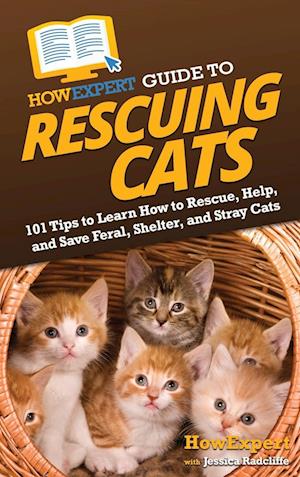 HowExpert Guide to Rescuing Cats