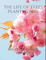 The life of trees plants & soil 
