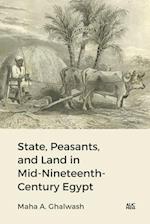 State, Peasants, and Land in Mid-Nineteenth-Century Egypt