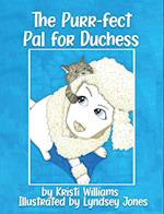 The Purr-fect Pal for Duchess 