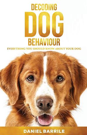 Decoding Dog Behaviour