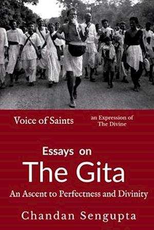 Essays on Gita