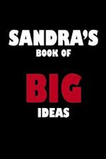 Sandra's Book of Big Ideas