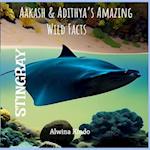 STINGRAY- Aakash & Adithya's Amazing Wild Facts