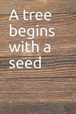 A tree begins with a seed