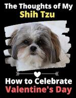 The Thoughts of My Shih Tzu