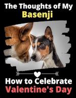 The Thoughts of My Basenji