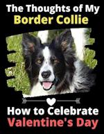 The Thoughts of My Border Collie