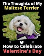 The Thoughts of My Maltese Terrier