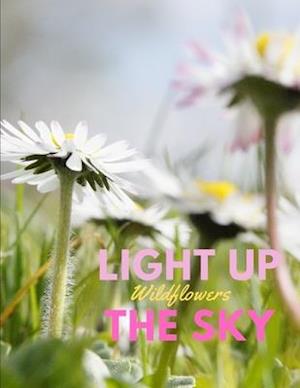 Light Up the Sky Wildflowers