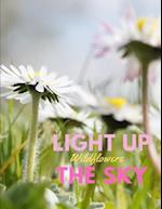 Light Up the Sky Wildflowers