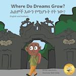 Where Do Dreams Grow: How To Become Anything You Want To Be, In Amharic And English 
