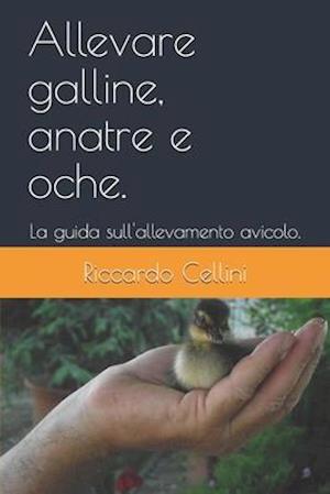 Allevare galline, anatre e oche.