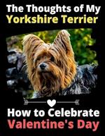 The Thoughts of My Yorkshire Terrier