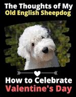 The Thoughts of My Old English Sheepdog: How to Celebrate Valentine's Day 