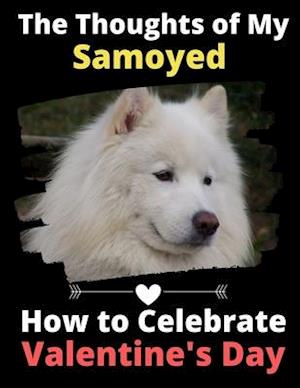 The Thoughts of My Samoyed