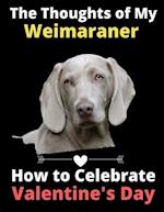 The Thoughts of My Weimaraner