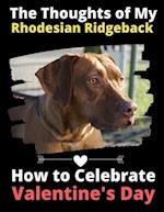 The Thoughts of My Rhodesian Ridgeback