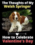 The Thoughts of My Welsh Springer