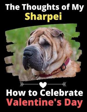 The Thoughts of My Sharpei