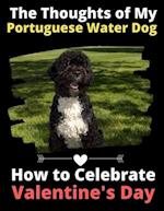 The Thoughts of My Portuguese Water Dog