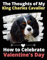 The Thoughts of My King Charles Cavalier