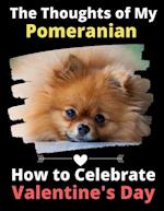 The Thoughts of My Pomeranian