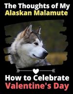 The Thoughts of My Alaskan Malamute