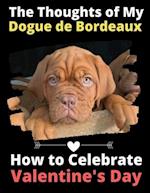 The Thoughts of My Dogue de Bordeaux