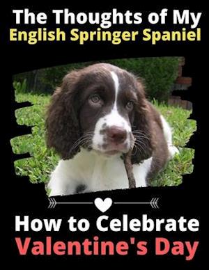 The Thoughts of My English Springer Spaniel