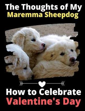 The Thoughts of My Maremma Sheepdog