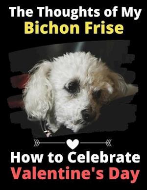 The Thoughts of My Bichon Frise