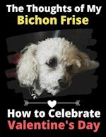 The Thoughts of My Bichon Frise