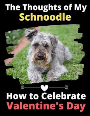 The Thoughts of My Schnoodle: How to Celebrate Valentine's Day