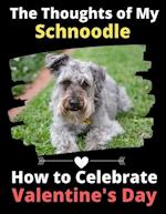 The Thoughts of My Schnoodle: How to Celebrate Valentine's Day 