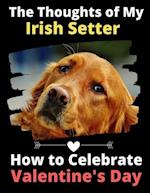 The Thoughts of My Irish Setter