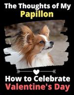 The Thoughts of My Papillon: How to Celebrate Valentine's Day 