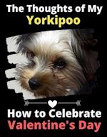 The Thoughts of My Yorkipoo