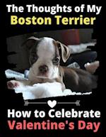 The Thoughts of My Boston Terrier: How to Celebrate Valentine's Day 