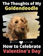 The Thoughts of My Goldendoodle