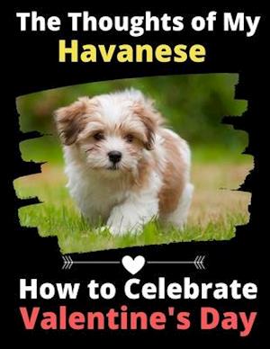 The Thoughts of My Havanese