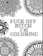 Fuck Off Bitch I'm Coloring