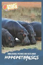 Unbelievable Pictures and Facts About Hippopotamuses