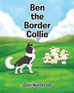 Ben the Border Collie 