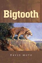 Bigtooth 