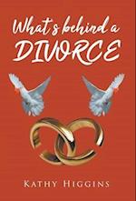What's behind a DIVORCE 